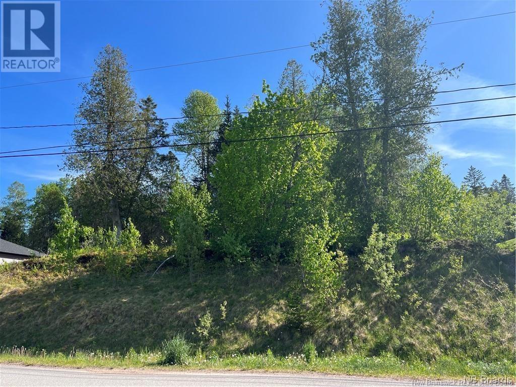 Photo of Listing #NB119993