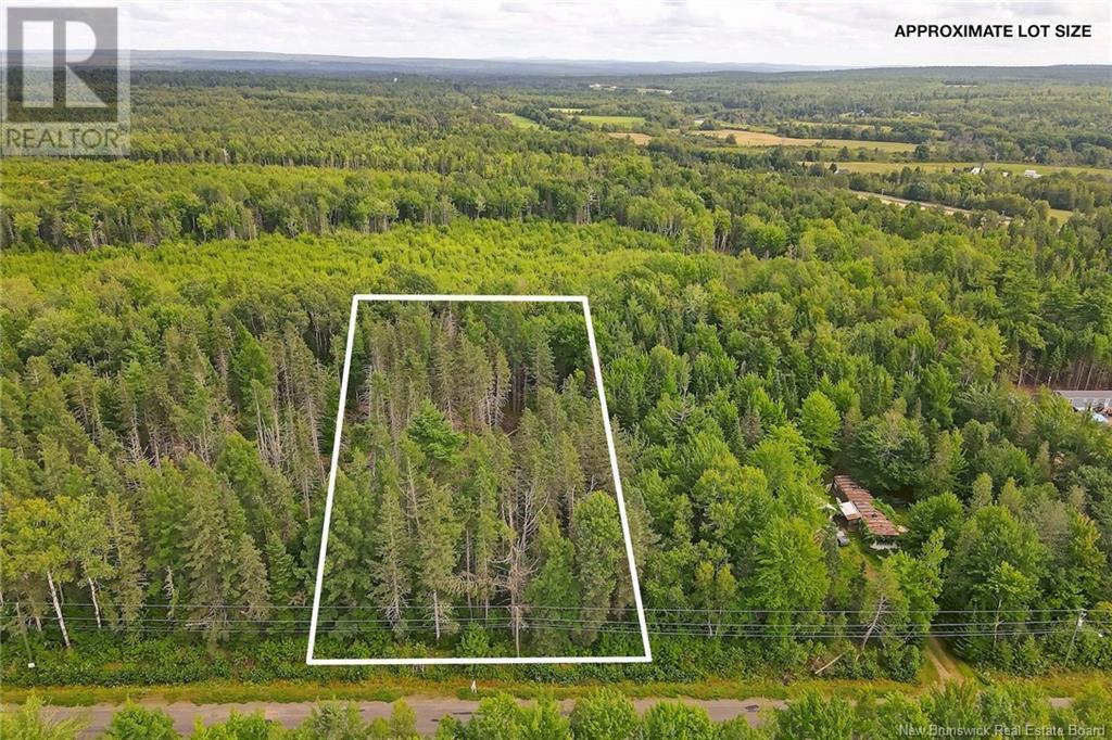 Photo of Listing #NB119498