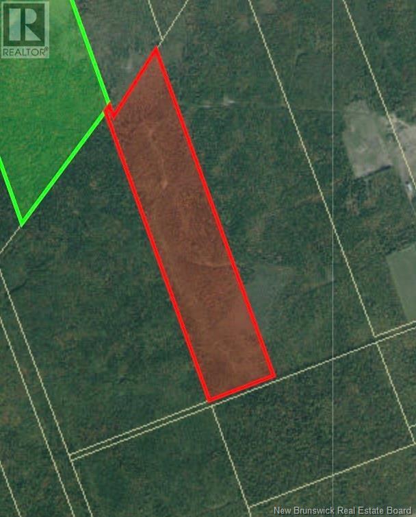 Photo of Listing #NB119962