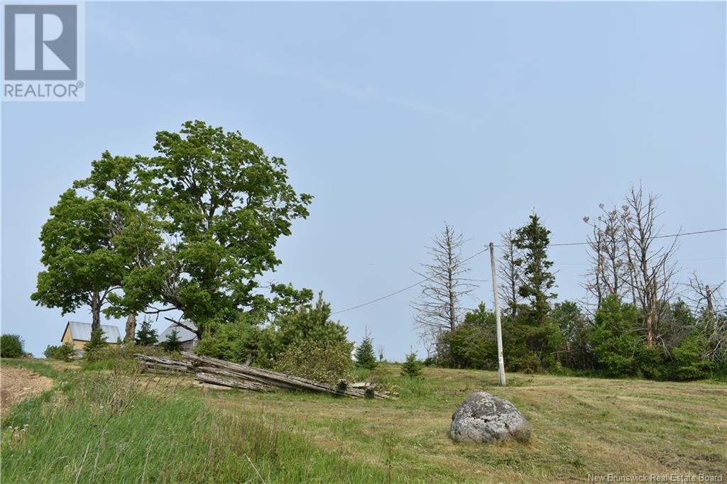 Photo of Listing #NB120094