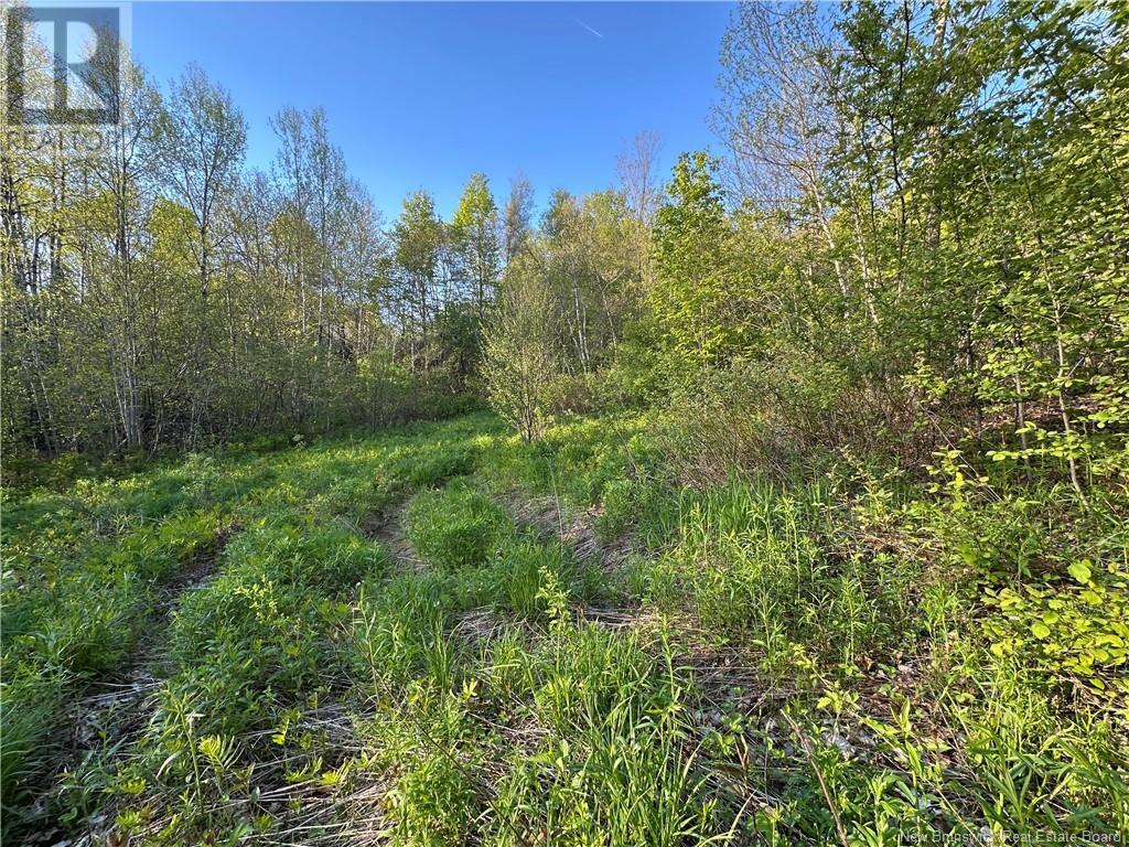 Photo of Listing #NB120198