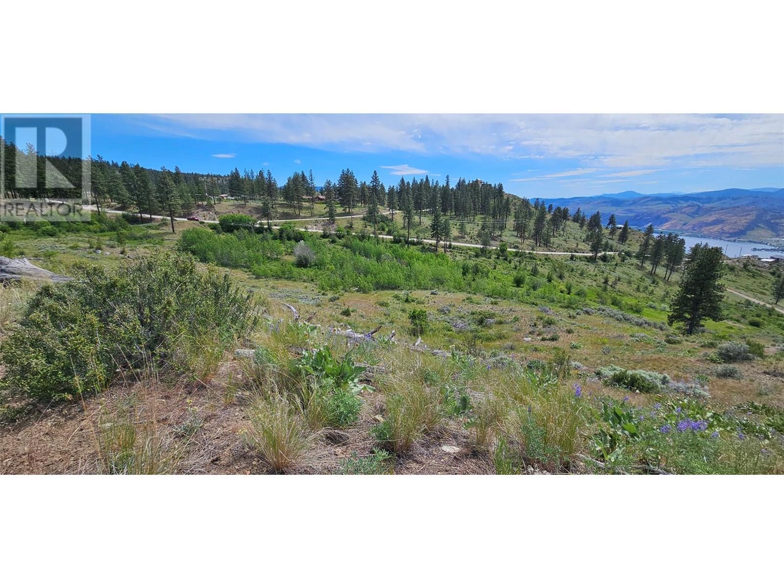 389 Chapman Road. Osoyoos, British Columbia