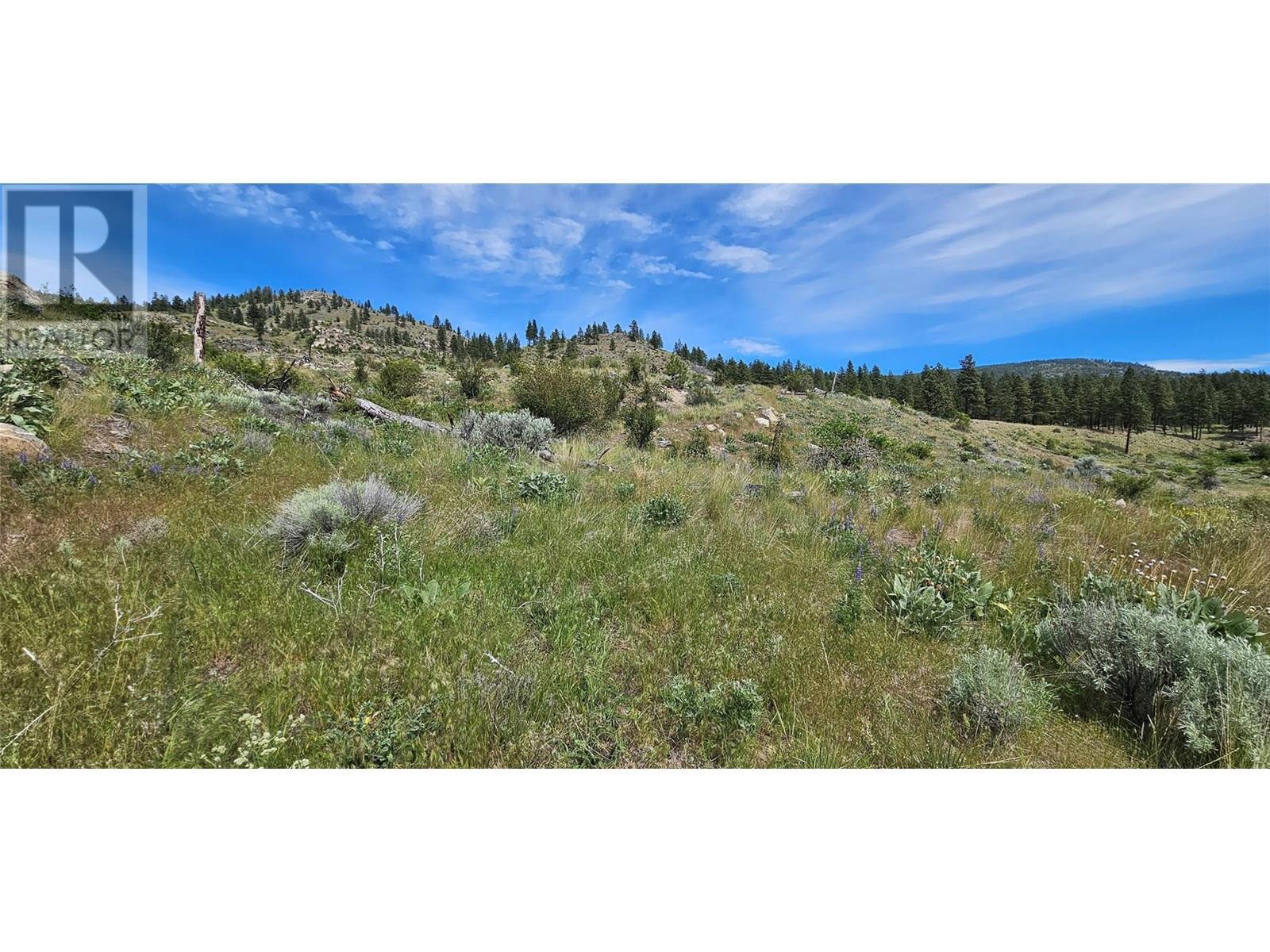 389 Chapman Road. Osoyoos, British Columbia