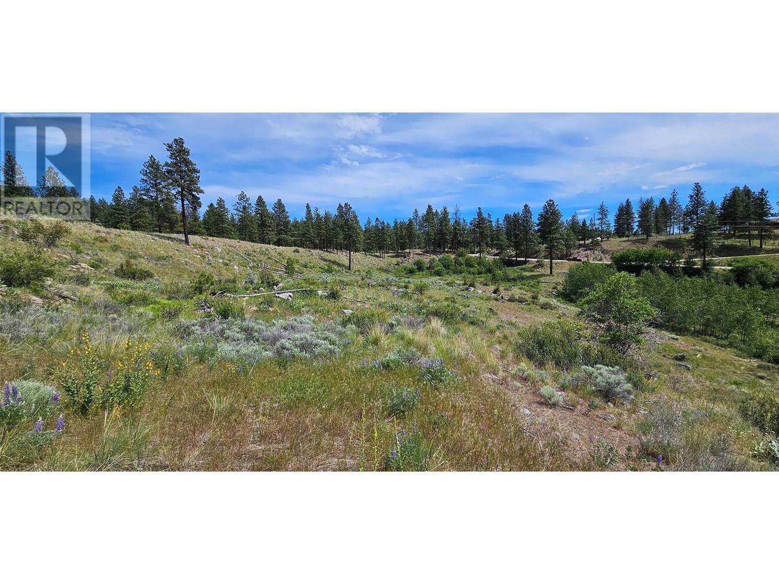 389 Chapman Road. Osoyoos, British Columbia