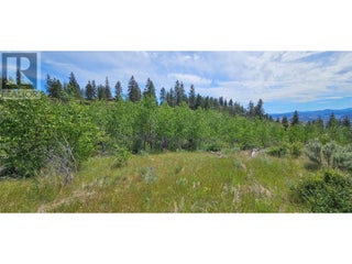 389 Chapman Road. Osoyoos, British Columbia