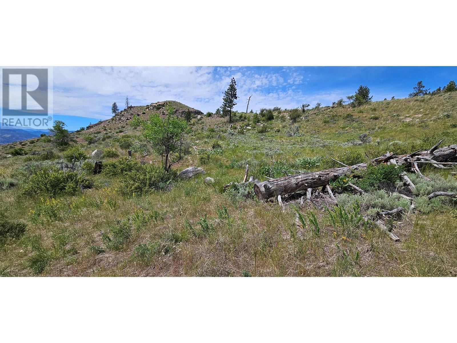 389 Chapman Road. Osoyoos, British Columbia