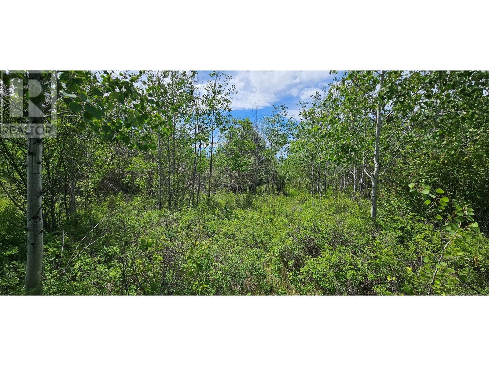 389 Chapman Road. Osoyoos, British Columbia