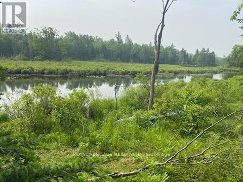 17556 Highway 62, Madoc