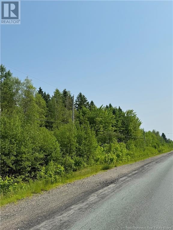 Photo of Listing #NB120352