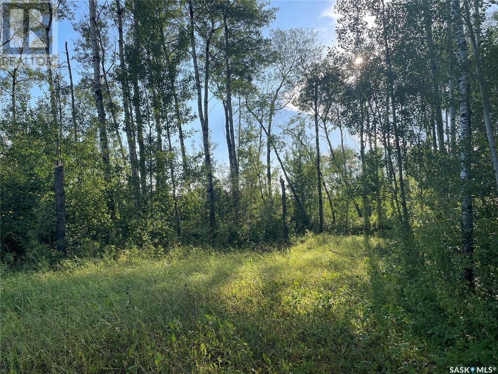 9 Northwood Crescent, Big River Rm No. 555