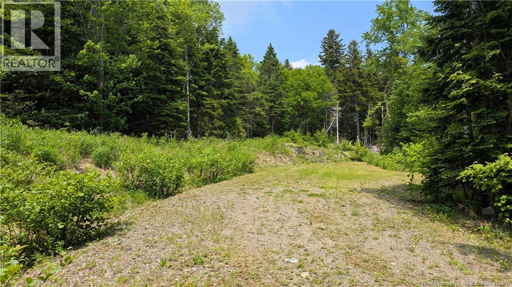 Photo of Listing #NB120342