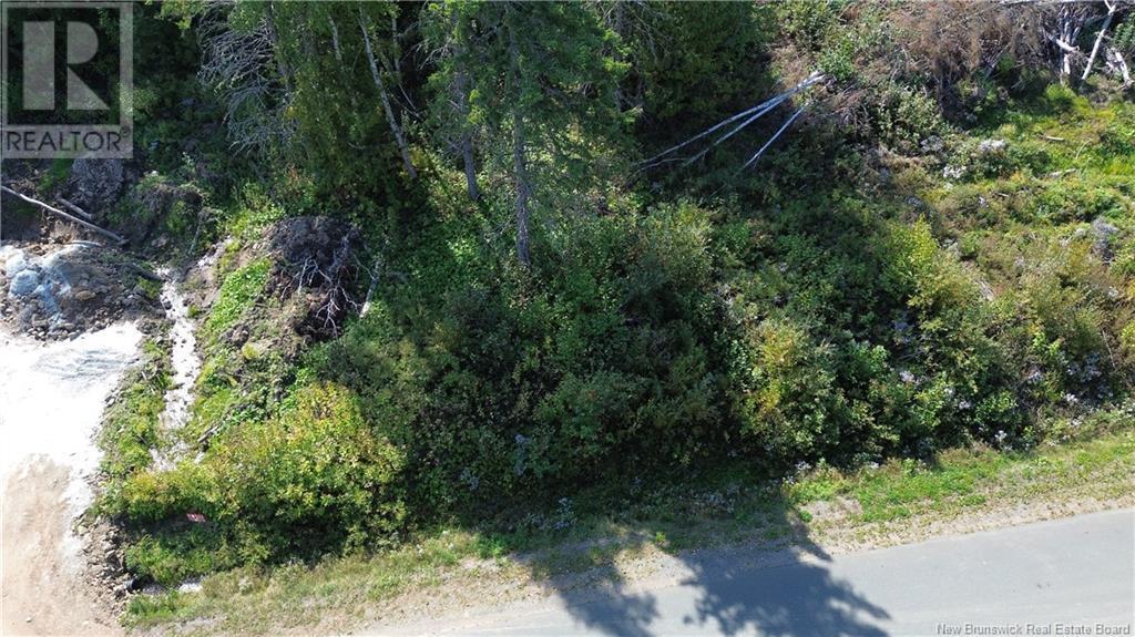 Photo of Listing #NB120549