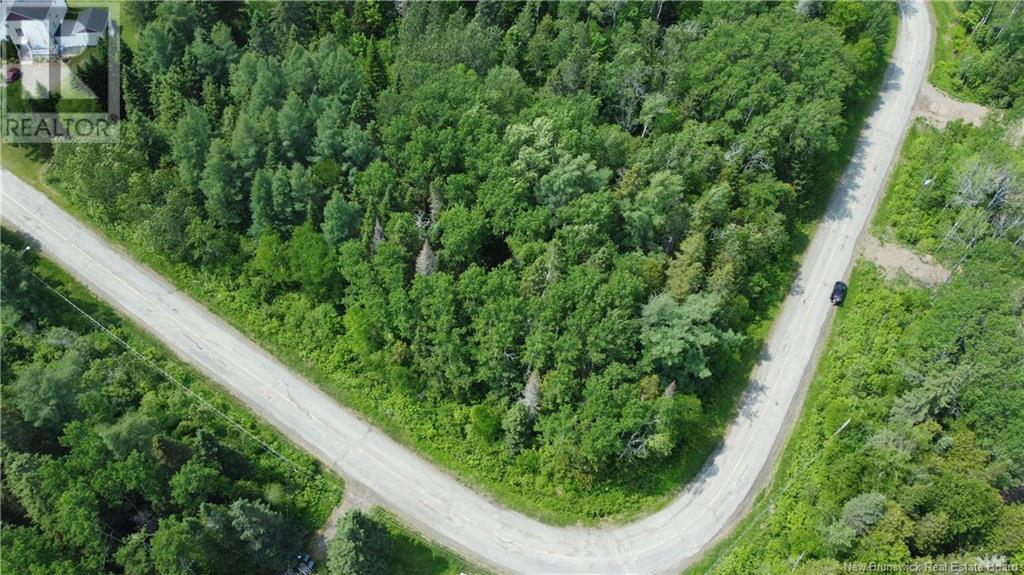 Photo of Listing #NB120745