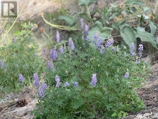 240 Sasquatch Trail Lot# Lot 9. Osoyoos, British Columbia