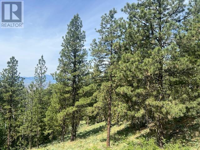 240 Sasquatch Trail Lot# Lot 9. Osoyoos, British Columbia
