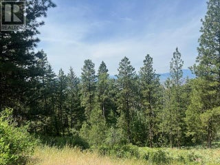 240 Sasquatch Trail Lot# Lot 9. Osoyoos, British Columbia