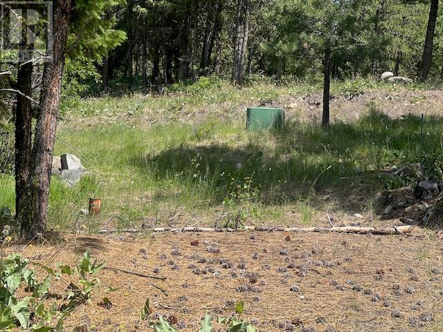 240 Sasquatch Trail Lot# Lot 9. Osoyoos, British Columbia