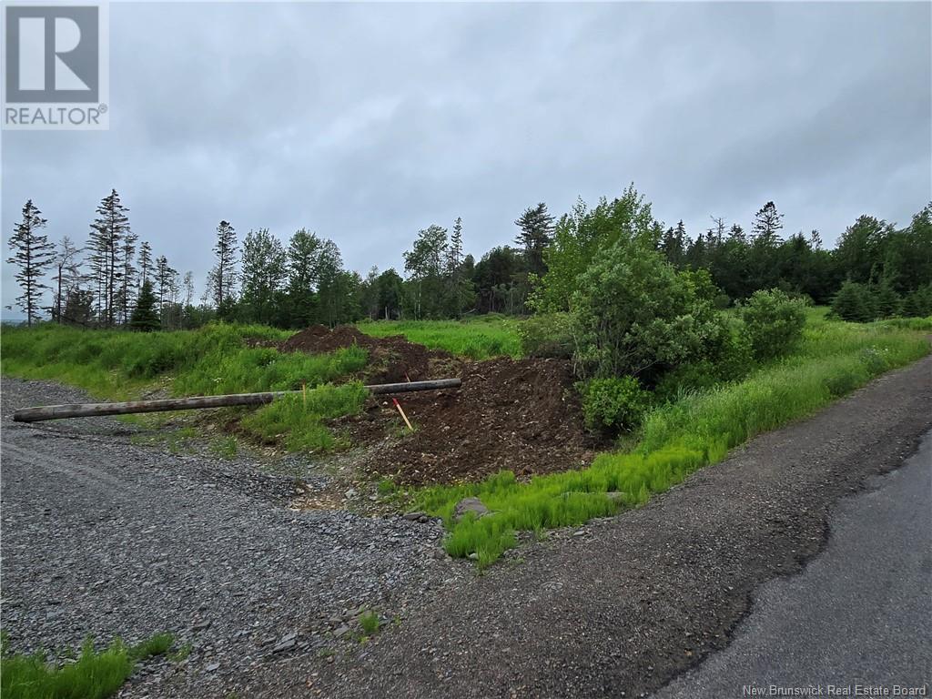 Photo of Listing #NB120909