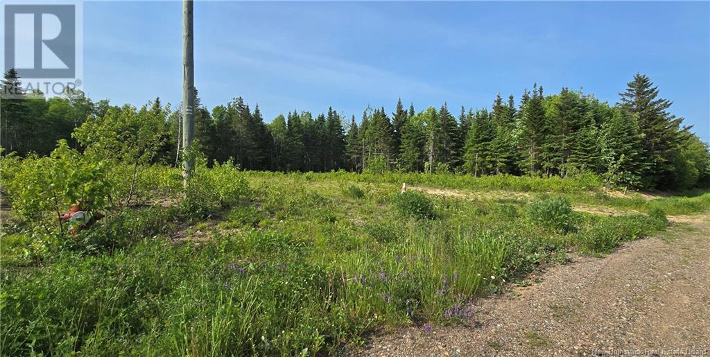 Photo of Listing #NB121018