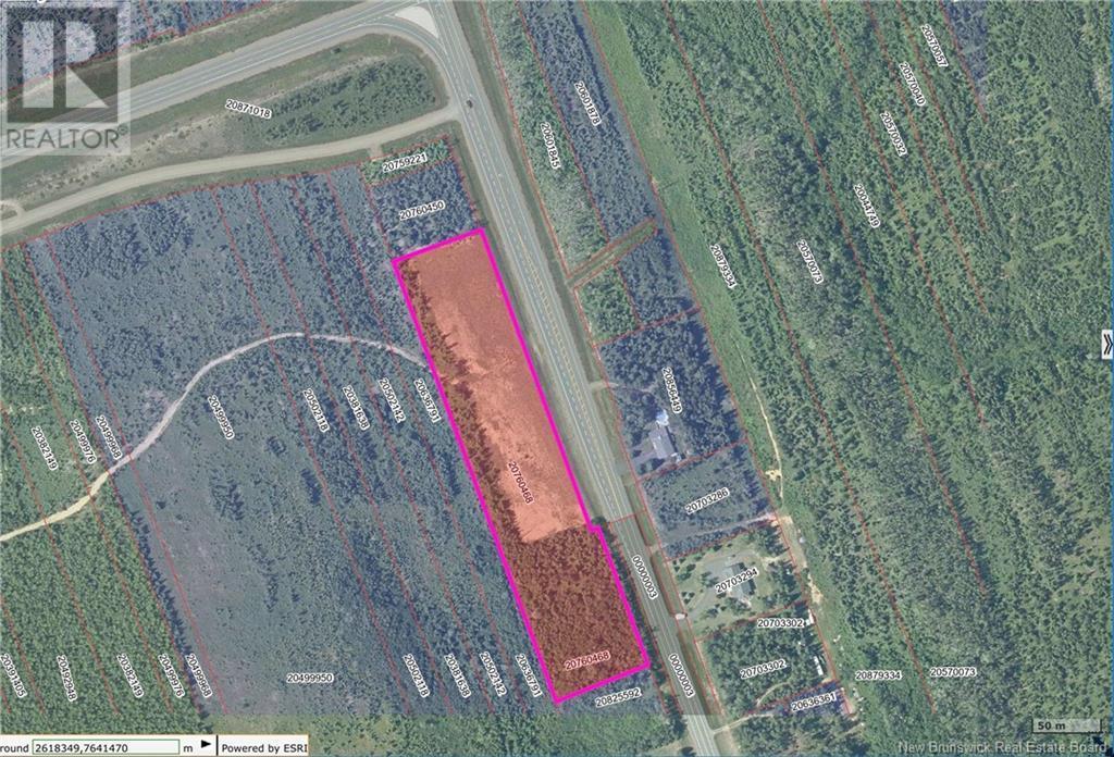 Photo of Listing #NB121082