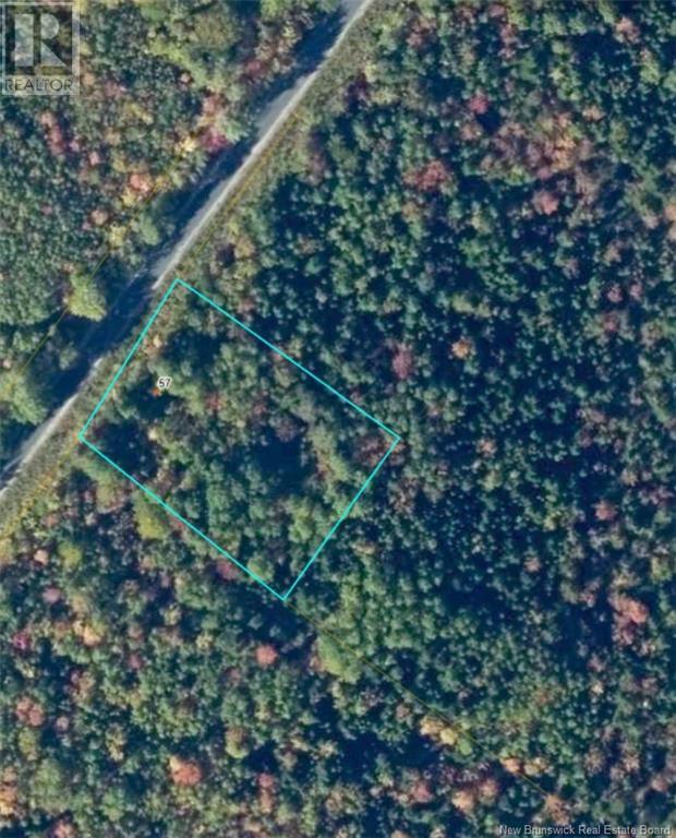 Photo of Listing #NB121053