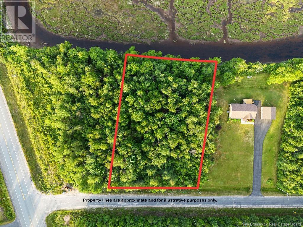 Photo of Listing #NB120710