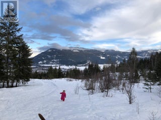 402 Princess Street. Enderby, British Columbia