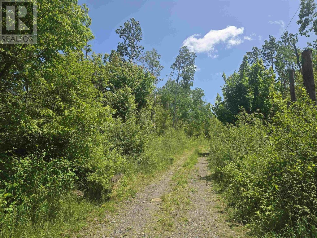 Lot 3 Fourteenth Street, Trenton