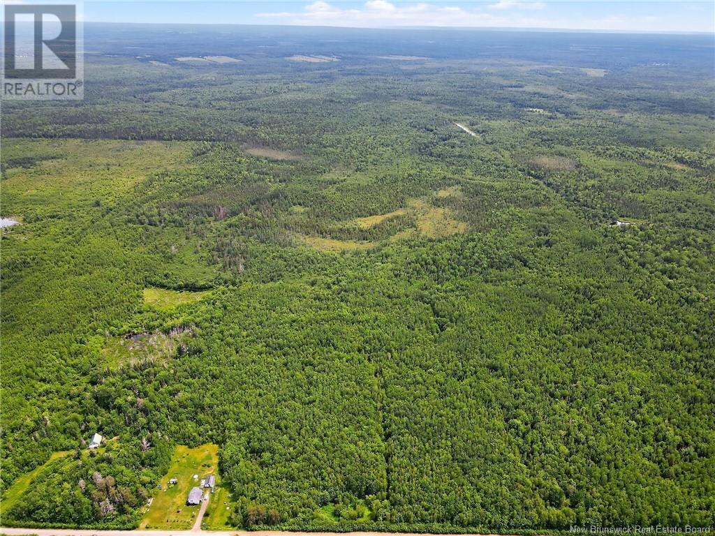 Photo of Listing #NB121461