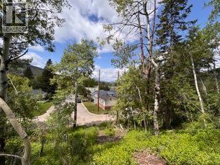 1539 134 Street, Blairmore