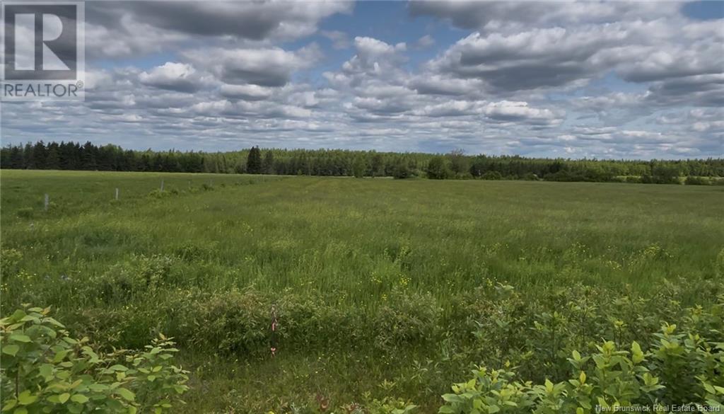 Photo of Listing #NB121446