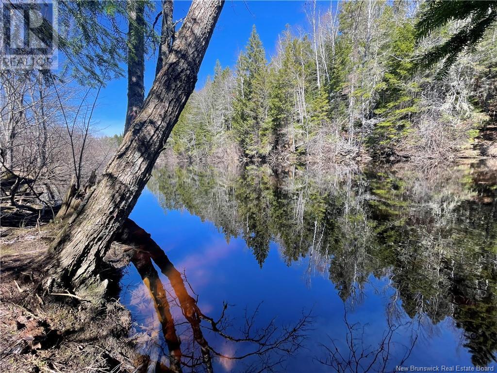 Photo of Listing #NB119222