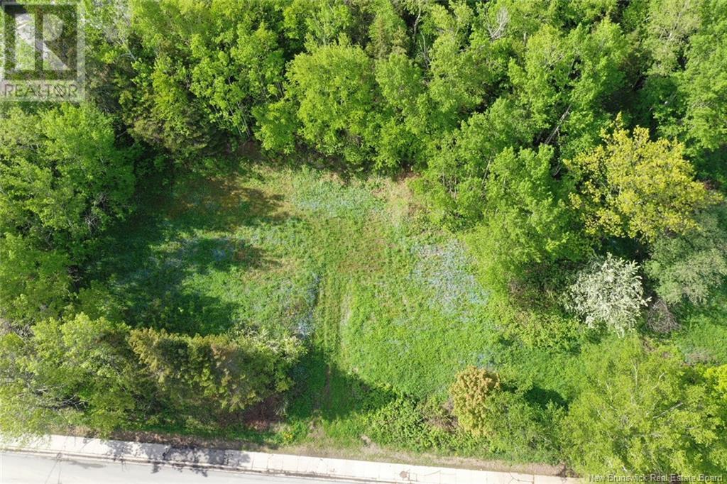 Photo of Listing #NB121689