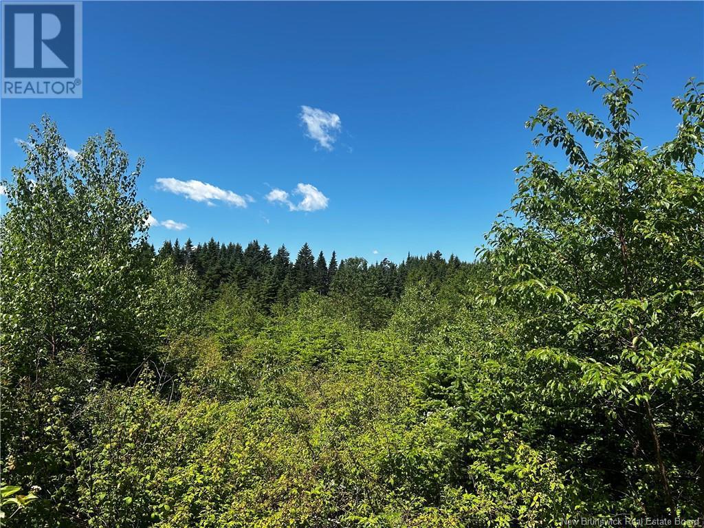 Photo of Listing #NB121779