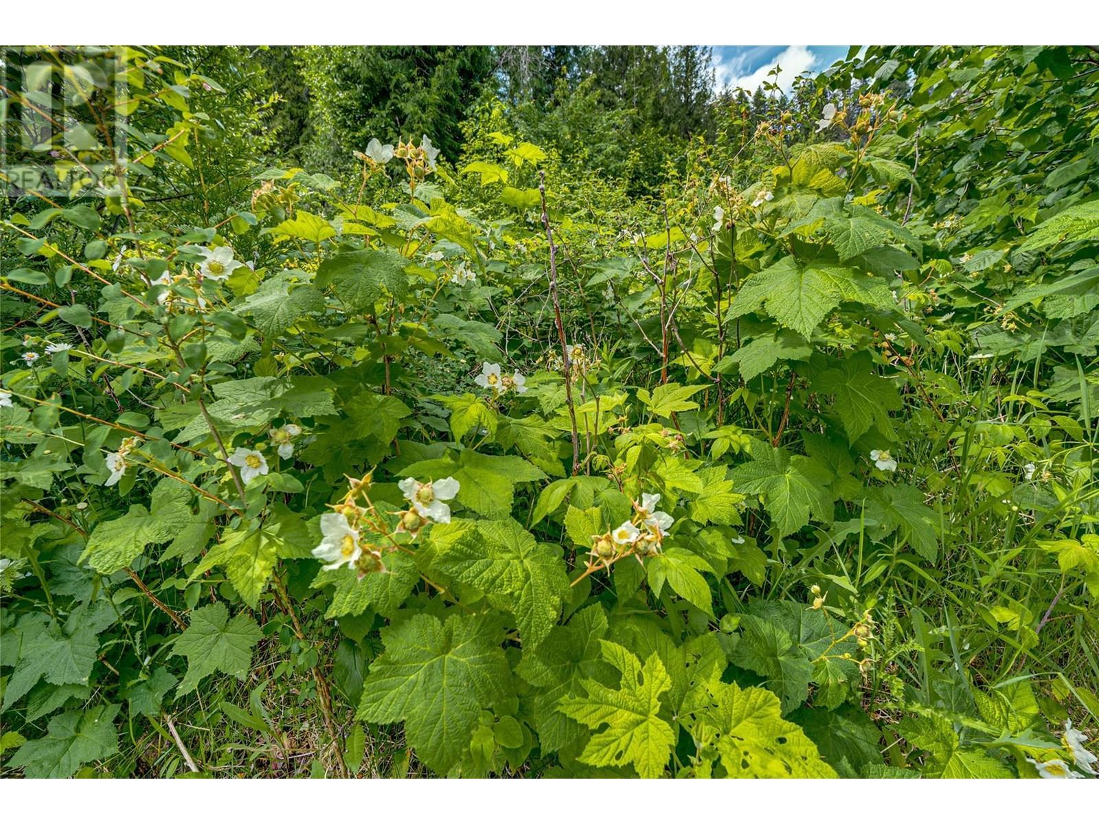 00 Richlands Road. Cherryville, British Columbia