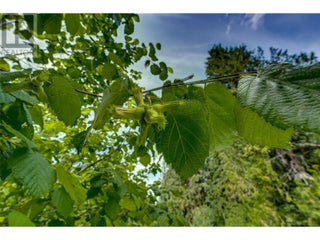 00 Richlands Road. Cherryville, British Columbia