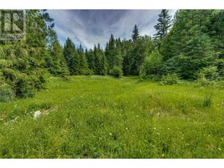 00 Richlands Road. Cherryville, British Columbia