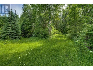 00 Richlands Road. Cherryville, British Columbia