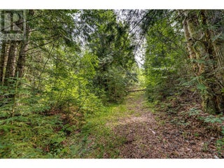 00 Richlands Road. Cherryville, British Columbia