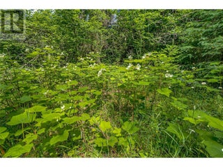 00 Richlands Road. Cherryville, British Columbia