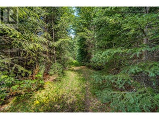 00 Richlands Road. Cherryville, British Columbia