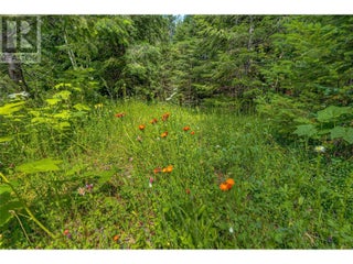 00 Richlands Road. Cherryville, British Columbia