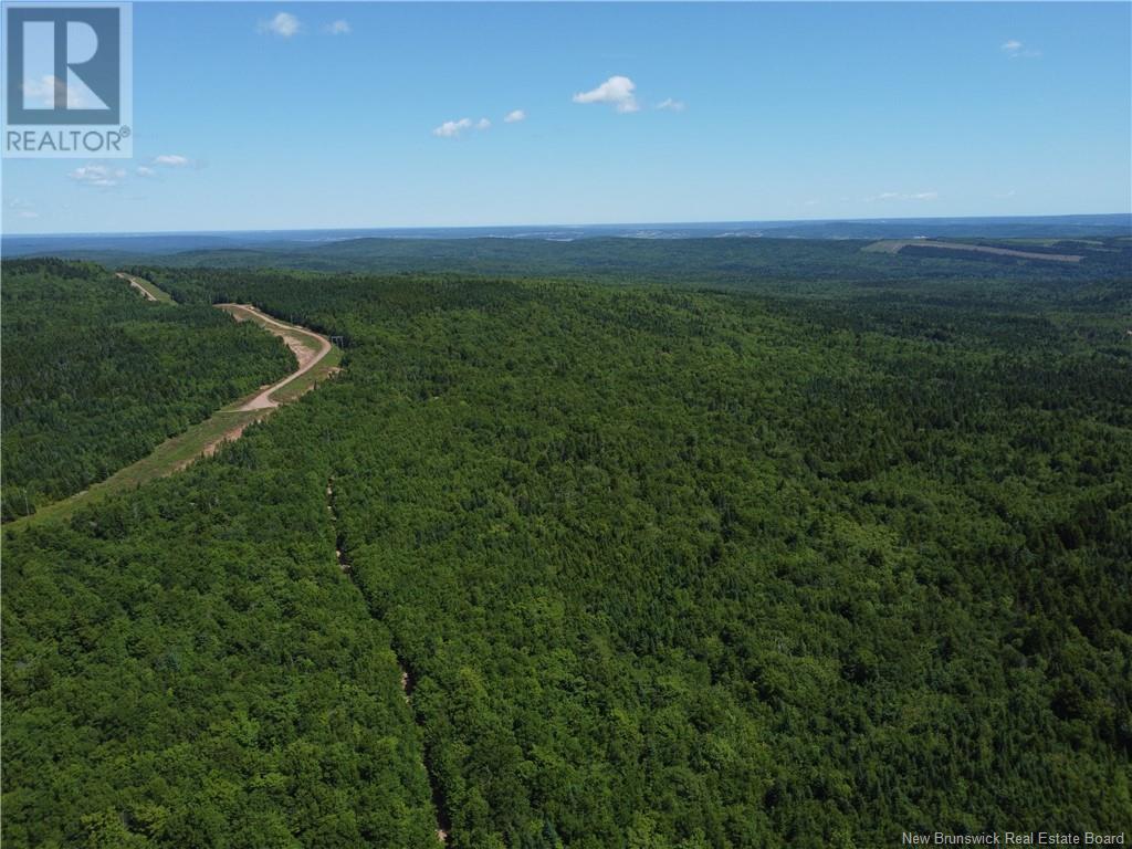 Photo of Listing #NB121981