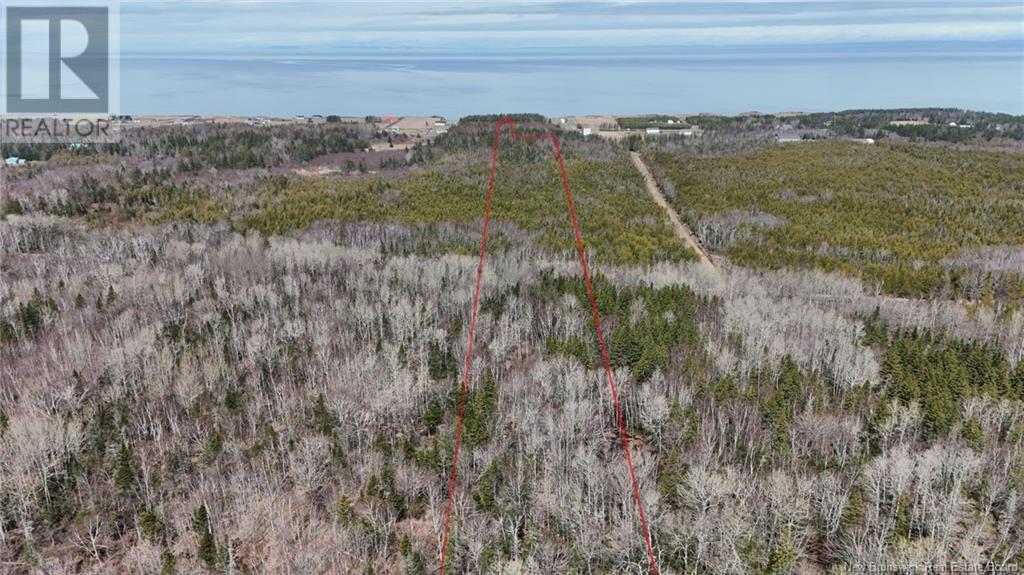 Photo of Listing #NB122187