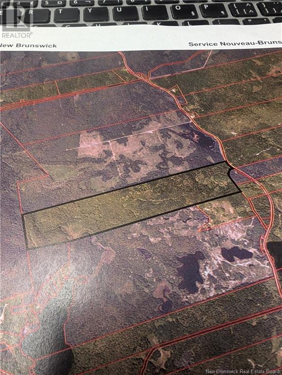 Photo of Listing #NB122302