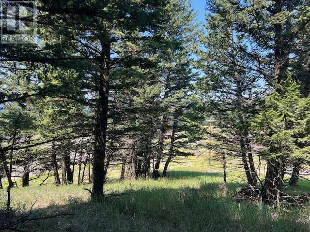 8717 24 Avenue, Coleman