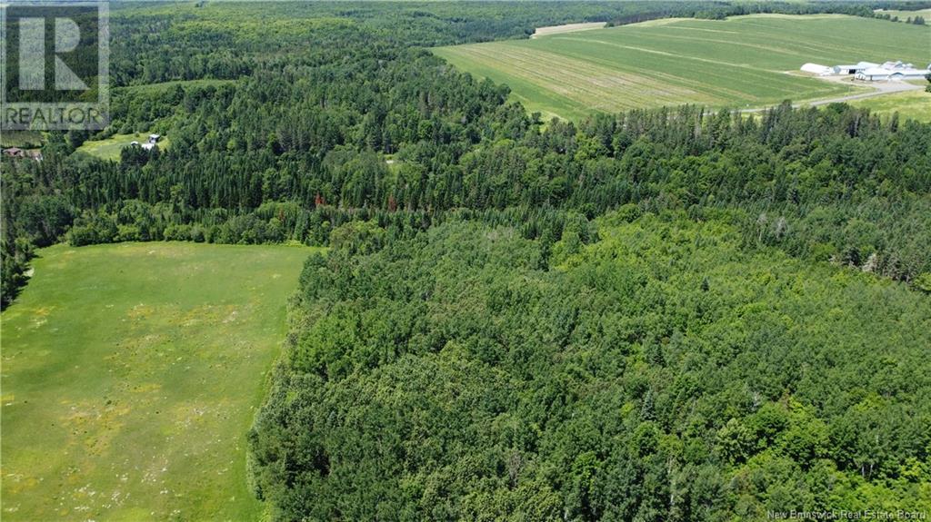 Photo of Listing #NB122487