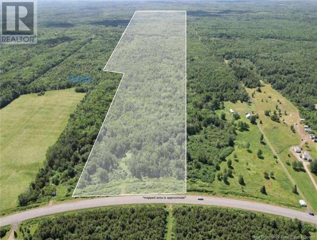 Photo of Listing #NB122577