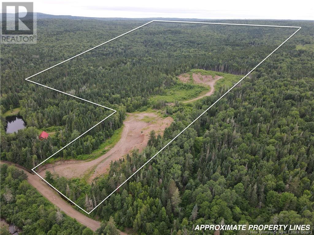 Photo of Listing #NB122382