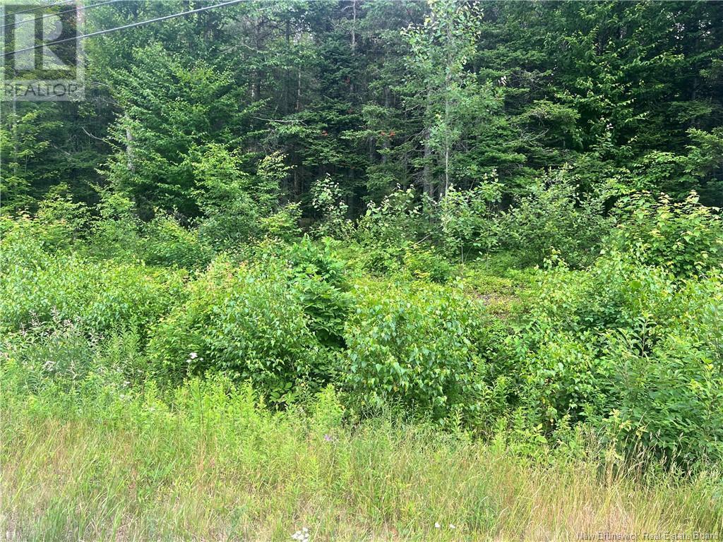 Photo of Listing #NB122612